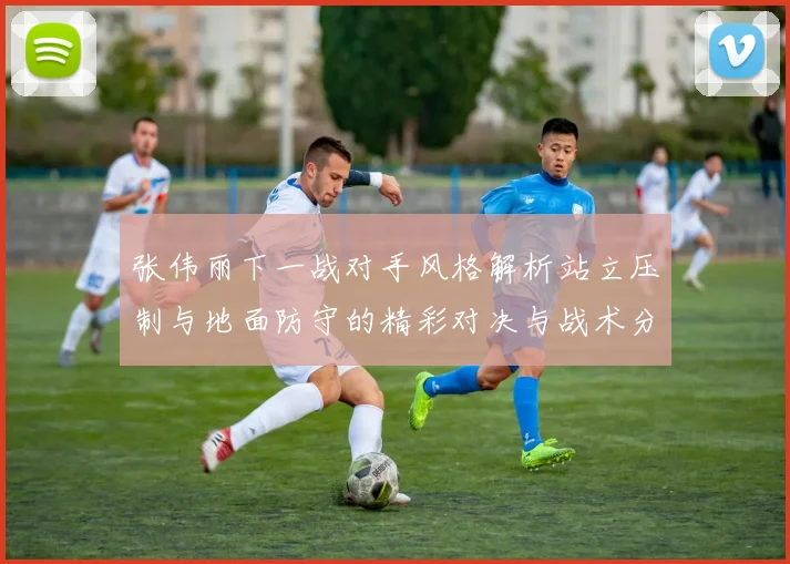 张伟丽下一战对手风格解析站立压制与地面防守的精彩对决与战术分析